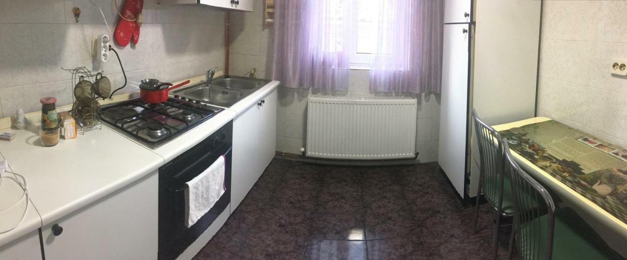 Apartament Mansarda Appartement Curtea de Argeş Buitenkant foto